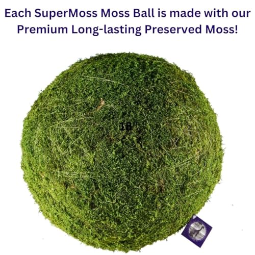 SuperMoss (21775) Moss Balls – Preserved Decorative Moss Balls for Home Décor, Vase Fillers, Centerpieces, Terrarium & Wedding Décor, Natural Green Décor, 12", Fresh Green - color: Fresh Green, size: 12"