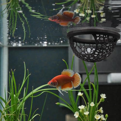 Floating Betta Fish Skins, Betta or Shrimp Feeder, Cave and Hammock, Small Fish Feeding Rings, Aquarium Hiding Feeding Decorative Accessories (Black)