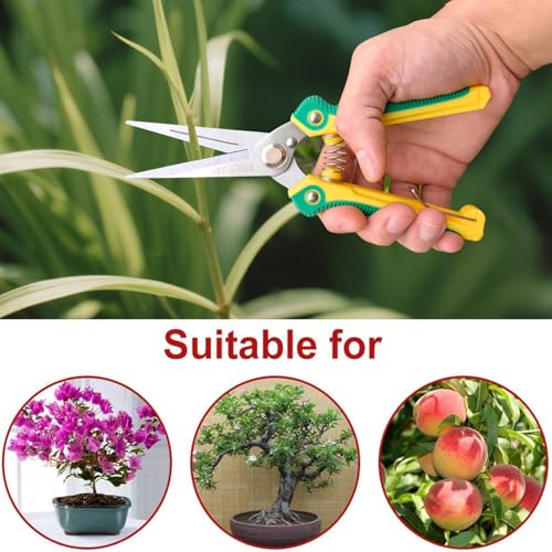 Gardening Scissors Hand Pruner Pruning Shear with Straight Stainless Steel Blades, Flower Cutter Garden Clippers, 8.1 Inch (Red) - color: Red