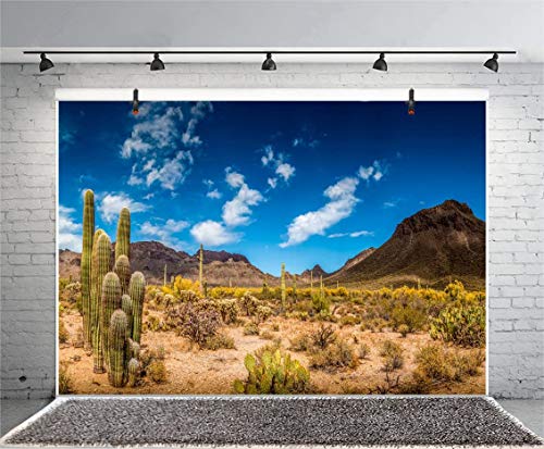 Leyiyi 6x4ft Photography Background Mexico Cactus Backdrop Western Life Desert Plant Saguaro Dry Sand Grunge Bush Mountain Poor Rural Cowboy American Travel Polyester Portrait Studio Video Prop - color: Desert5, size: 6x4ft-P