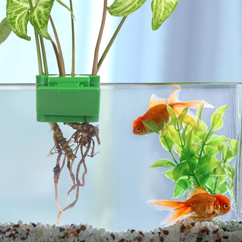 3 Holes Upgraded Aquatic Plant Cup Aquarium Plant Holder for Tank,Aquascape Accessories Decorations- Green 4 Pcs - color: Green 4 Pcs