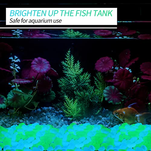 900pcs Glow in The Dark Rocks Outdoor Decorations Stones Small Luminous Pebbles Indoor/Outdoor Decor for Garden Fish Tank Aquarium Planter Walkway - Green & Blue - color: Blue & Green