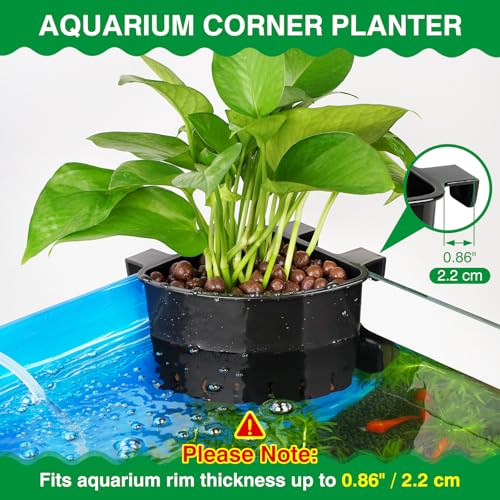 Borlech 2026 Latest Model Large Aquarium Corner Planter Hanging Plant Holder for Fish Tank Aquaponic Plant Cultivation and Aquascape Accessories Decorations (2 Pack) Black - color: Black-2 Pack