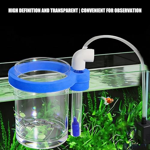 Protective Acrylic Incubator Box Safe Fry Rearing Container Suitable for Guppy & Fish Fry Featuring Sponges Cushioning Suspended Fish Hatchery