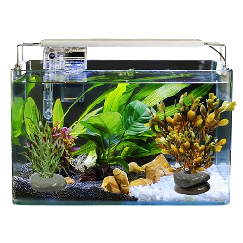 6 Pcs Natural River Stone Plant Weights for Fish Tank, Pebble Aquatic Plants Fixed Ring, Unique Anti-Floating Decorative River Rock Anchors for Aquarium Landscape Decoration (0.79'' Hole Diameter)