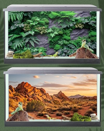 Breling 4 Pcs Reptile Habitat Background with Nano Glue Gobi Sun Cactus Stone and Green Tree Fern Stream Terrarium Background Polyester Durable Aquarium Accessories (Style2,36 x 18 Inch) - color: Style2, size: 36 x 18 Inch