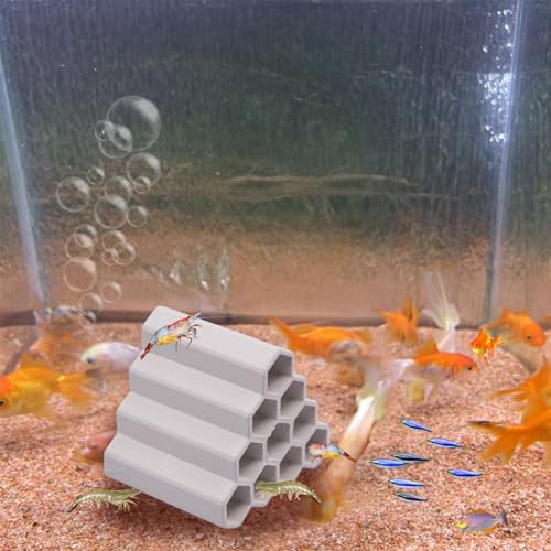 AnRui Ceramic Shrimp and Betta Shelters Ten Holes Fish Tank Decor Honeycomb Tunnel Aquarium Décor Thematic Ornaments for Cichlid, Small Fish, Shrimp to Play Hide Breed Habitat, White