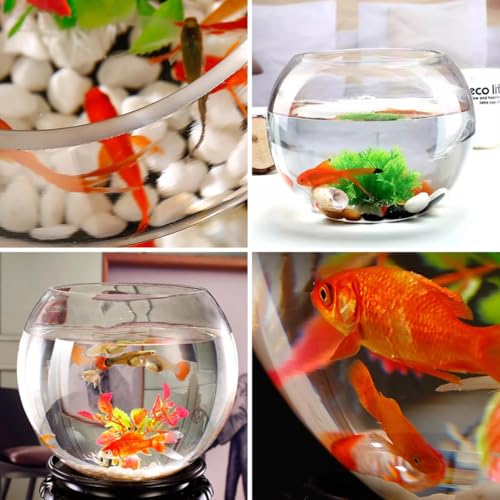 Yardwe 2 Gallon Round Glass Fish Bowl Transparent Desktop Aquarium for Goldfish and Hydroponic Plants 7.8 Inch Small Fish Tank for Home Office Decoration