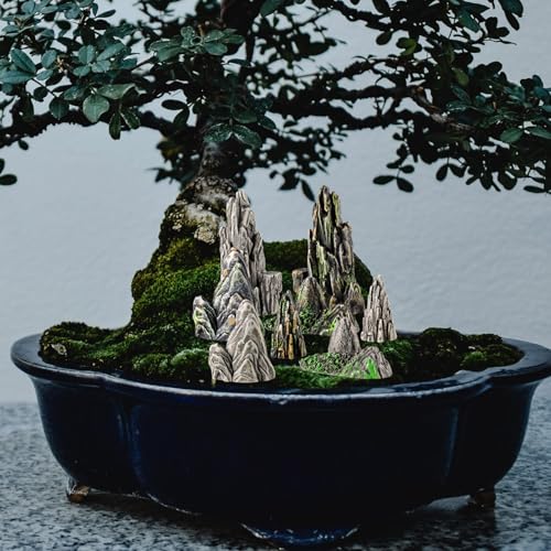 Toyvian Mini Resin Rockery Statues, 8Pcs Miniature Mountain Figurines for Aquarium Decor Fairy Garden Tiny Accessories for Terrarium Bonsai Zen Garden Fish Tank Landscaping
