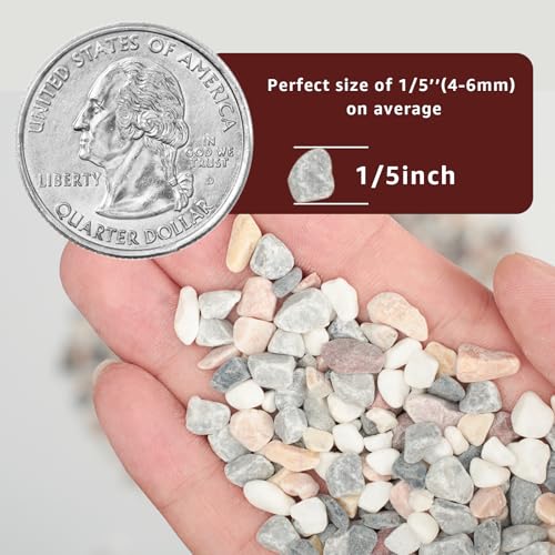 5lbs Natural Gravel Pebbles for Succulents and Cacti, 1/5 Inch Decorative River Stones – Perfect for Vases, Aquariums, Terrariums, and Outdoor Gardening, Mixed Colors (Mixed, 5 Pounds) - color: Mixed, size: 5 Pounds