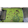 Floating Plant Fence for Aquarium, Separates Floating Plants, Automatically Adjusts Height with Water Level, Suitable for All Floating Plants and Most Aquariums. - style: Combo Pack