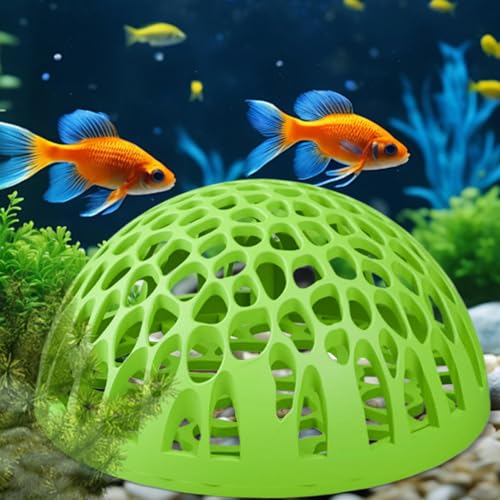 Shrimp Cave Betta Habitat Ornament | Realistic 2-Piece Betta Resting Habitat for Tropical Fish Tanks, Perfect for Home, Office, School Desk Aquariums and Small Aquatic Life Enthusiasts - color: Green