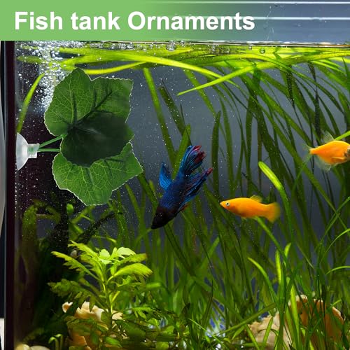 Betta Fish Leaf, Natural Habitat Simulation for Betta Spawnings Grounds, Betta Spawnings Leaves, Resting Bed, Double Maple Leaves, Deep Green