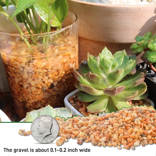 45lb Cactus Pea Gravel Rocks,1/5 Inch Pebbles for Indoor Plants, Natural Succulent Rock and River Rocks Decorative for Aquariums, Vases, Terrarium, Outdoor Gardening, Top Dressing for Potted Plants - color: Mixed Colorful, size: 45LB