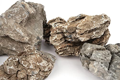 LANDEN Seiryu Stones Natural Rocks for Aquarium, Paludarium, Terrariums, Landscaping Rocks, Aquascaping, 80L (36lbs) 3-11in, Seiryu Stones(3-11inch,36lbs) - size: 07 Seiryu Stones(3-11inch,36lbs)