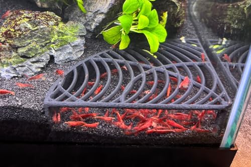 Aquarium Shrimp Tank Decorations | Corner Shrimp Hide | Shrimp Cave | Breeding Shrimp Hide | Shrimp Tunnel - size: Corner Hide