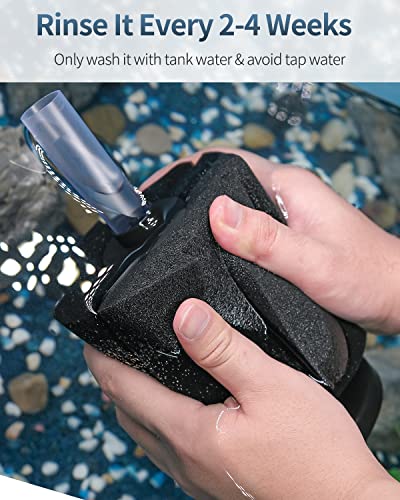 Pawfly Aquarium Bio Sponge Filter Quiet Betta Fry Shrimp and Small Fish Foam Filter for Fish Tanks up to 100 Gallons