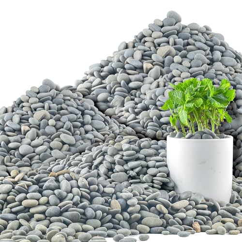 Quibbay 45 LB Mexican Beach Pebbles, 0.4-1 Inch Natural Unpolished Bulk Rocks, Decorative River Rocks for Landscaping Garden Paving Plant, Rocks for Walkways and Outdoor Decorative Stone, Grey - size: 45 Pounds, 0.4-1 Inch