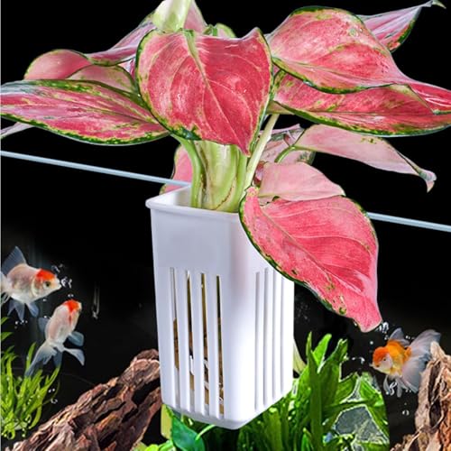 2 PCS Aquarium Plant Holder - Sturdy Hanging Planter Cups, White Fish Tank Plant Pots for Aquarium Decorations & Plant Display, White
