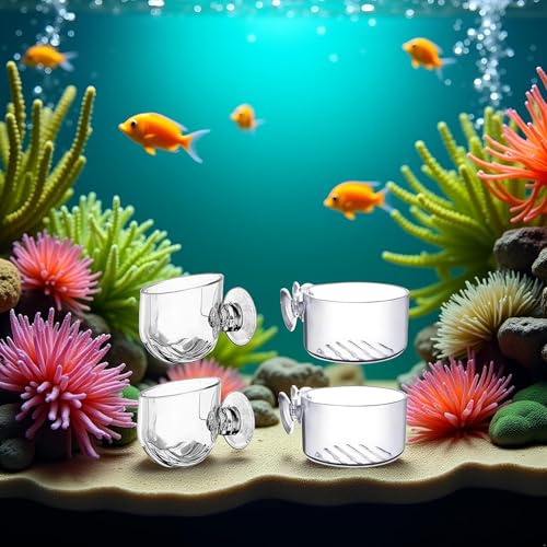 4Pcs Transparent Acrylic Aquatic Plant Cups with Suction - Aquarium Decoration 2 Shapes for Fish Tank Ornament