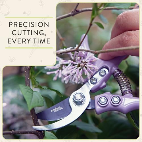 Modern Sprout Hand Pruners & Shears Set w/blister - Lightweight Gardening Tools - Easy Lock - Sharp Carbon Steel Blades - Rust Resistant Scissors for Herbs & Flowers- Gift for Father's Day-Chartreuse - color: Chartreuse