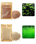 2 Pack Live Aquarium Plants S.e.e.ds - Dwarf Leaf and Long Hair Combo for Aquarium Fish Tank (0.35oz Each)