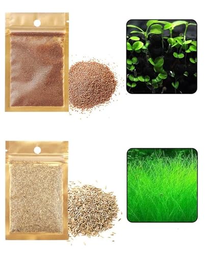 2 Pack Live Aquarium Plants S.e.e.ds - Dwarf Leaf and Long Hair Combo for Aquarium Fish Tank (0.35oz Each)