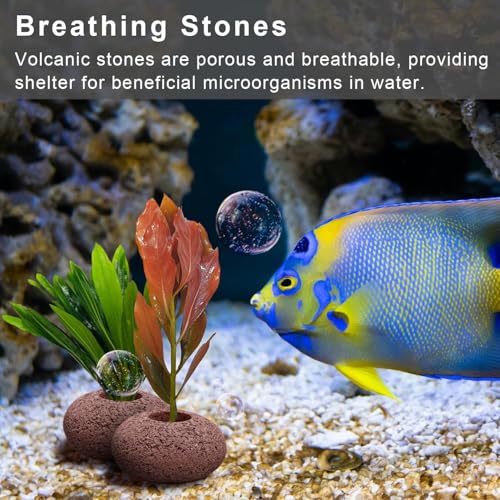 Stone Plant Weights for Aquarium Natural Rock Decorative 6 Pcs Fish Tank Landscape Plant Weights