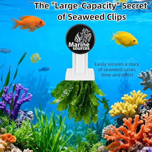 Magnetic Seaweed Feeding Clip for Saltwater Aquarium, Automatic Fish Feeder with Algae Magnet Clip, Glass Tank Accessory for Aquatic Pets, Up to 15mm Glass Thickness - color: Black-1Pcs