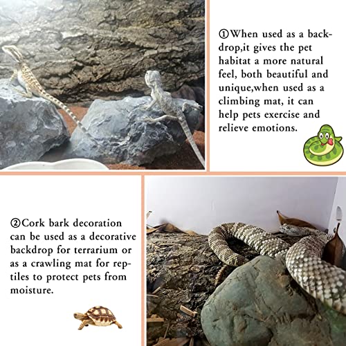 Tfwadmx 2PCS Cork Terrarium Background 11.8” x 11.8” Natural Cork Bark Backdrop Reptile Background Climbing Wall Terrarium Accessories for Lizard, Tortoise, Gecko, Bearded Dragon, Chameleon - size: 2Pcs-11.8” x 11.8”