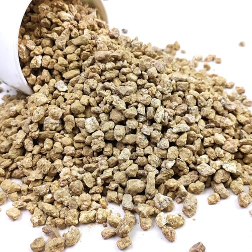 YISZM Succulent and Cactus Maifanitum Stones Garden Accessorie Rocks Pumice for Indoor Plants, Bonsai, Fairy Gardening, Vases Fillers, Terrarium, 2lb - color: Maifanitum Stones, size: 2 Pounds