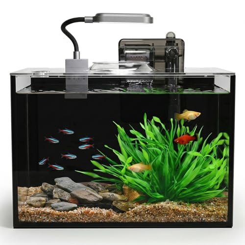 2.5 Gallon Nano Aquarium Kit, Glass Small Fish Tank Starter Kit with Light, Filter, Gravel Rock,Lid. Ultra Clear Rimless Desktop Fish Tank for Small Fish,Betta,Shrimp.Complete Version, Black - size: 2.5 Gallon (Complete Kit) ﻿