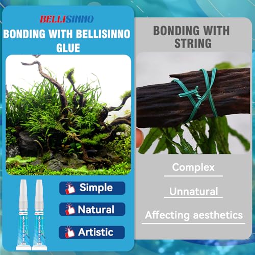 Aquarium Glue, Clear Reef Adhesive for Plants and Rocks, Moss, Coral, Stone, Wood, Plant, Suitable for Freshwater and Saltwater Aquascape, 5g*2pcs