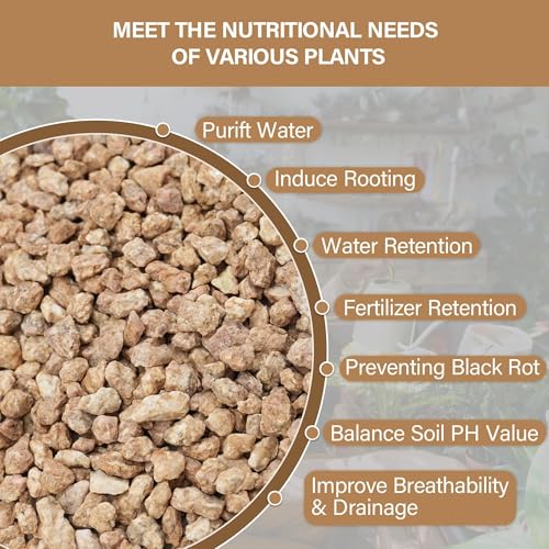 3lb Maifanitum Stones for Succulent, 1/8"-1/4" Golden Pea Gravel for Cactus, Small Pebbles for Indoor Plants Soil Covers, Decorative Rocks for Bonsai, Vases Fillers, Aquarium, Top Dressing - color: Gold, size: 3 Lb