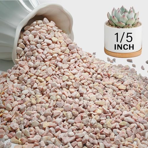 NUPICK 3 lbs Pebbles for Indoor Plants, 1/5 Inch Pea Gravel for Fish Tank, Decorative Rocks for Succulent, Natural River Stones for Vases, Cactus, Landscaping, Bird Bath, Aquarium, Peach - color: Peach, size: 3 lb