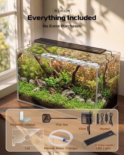 Glass Fish Tank Kit, 10 Gallon Betta Fish Tank Aquarium Starter Kit with Filter, Lights, Lid, for Betta, Goldfish, Small Fish or shrimg，Clear - color: Transparent, size: 10 Gallon