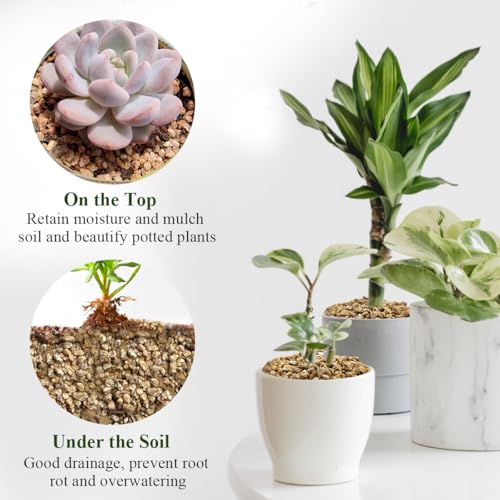 2 lbs Maifanitum Stones for Succulent,1/4 Inch Decorative Rocks for Indoor Plants, Bonsai, Soil Cover. Small Stone of Lightweight for Promote Soil Root Growth, Water Drainage and Plant Growth - color: Maifanitum