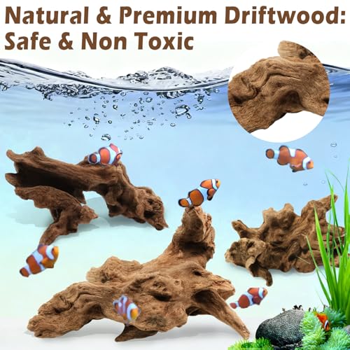 6PCS Natural Driftwood for Aquarium & Reptile Tank, 3–6 Inches Unique Wood Decor for Fish Tank, Turtles, Lizards, Snakes, Natural Driftwood for Home Decor