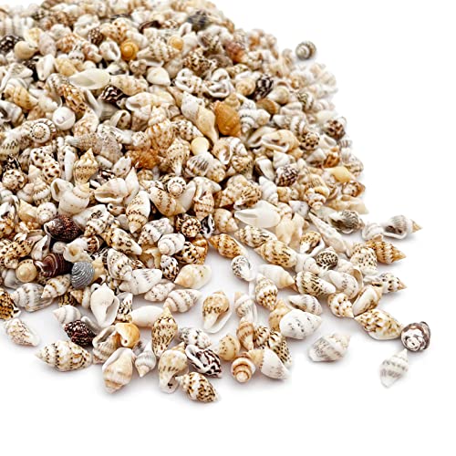 Tiny Sea Shells, Mixed 1500 PCS Ocean Small Beach Spiral Seashells Craft Charms for Home Decorations, Beach Theme Party, Candle Making, Wedding Decor, DIY Crafts, Fish Tank and Vase Filler - color: 1500pcs Seashells