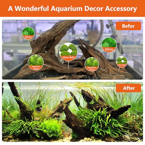 Driftwood for Aquarium Drift Wood for Fishtank: Aquarium Driftwood Freshwater Reptile Wood Reptile Log Snake Climbing Accessories Terrarium Decor for Leopard Gecko Small Snake Fish Tank