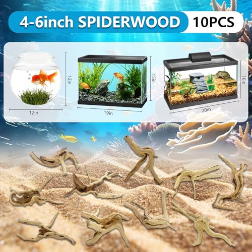 10 Pcs Natural Small Spiderwood for Aquarium, Aquarium Driftwood Freshwater 4-6 Inch, Assorted Size Spider Wood, Twisted Branches for Fishtank Accessories, Reptile Terrariums Decorations - color: 10 PackSpiderwood 4-6in