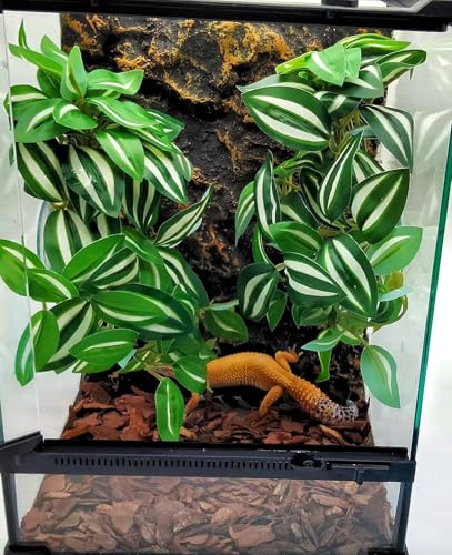 Reptile Plants for Terrarium Decor, Amphibian Habitat Decor, Snake Tank Accessories, Artificial Hanging Plants with Suction Cup-2 Packs (Zebrina Green) - color: Zebrina Green