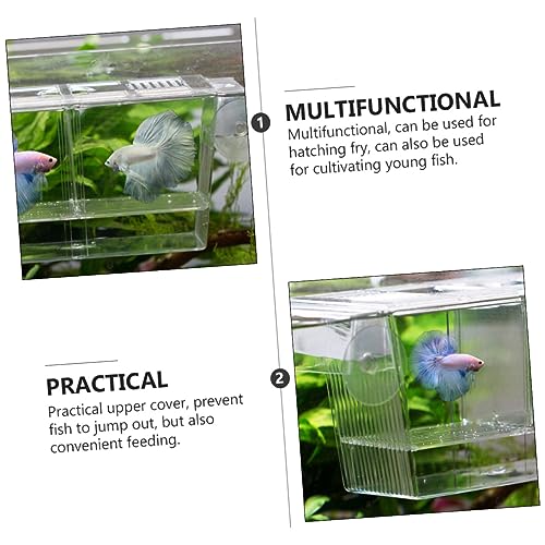 BESPORTBLE Floating Fish Incubation Box Observation Fry Breeding Tank Suction Cup for Aquarium