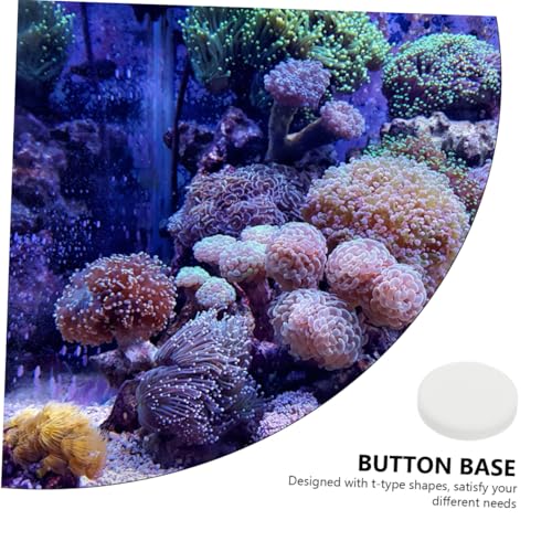 10pcs Fish Tank Coral Base Terrarium Cave Sand Stand Coral Breeding Bases Gasket Large Fish Tank Ornaments Gel Pad Coralline Serving Tray Round Conch Siphon Ceramics