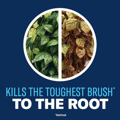 BioAdvanced Brush Killer Plus, Weed Killer Spray, Ready-to-Use, 1 Gallon, Kills Tough Brush Roots & Poison Ivy