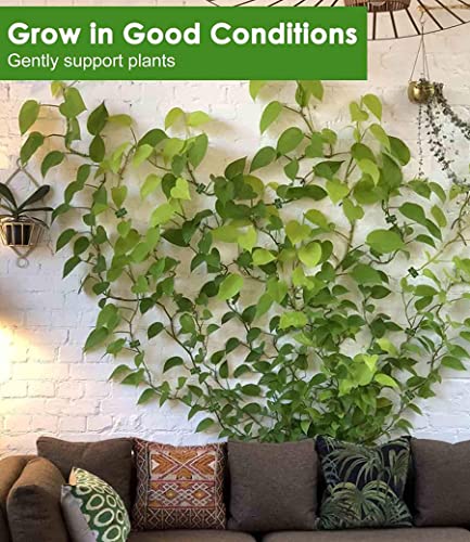 50PCS Plant Wall Clips: Vine Climbing Self-Adhesive Invisible Fixing Hook for Wall & Garden Decoration - size: snail