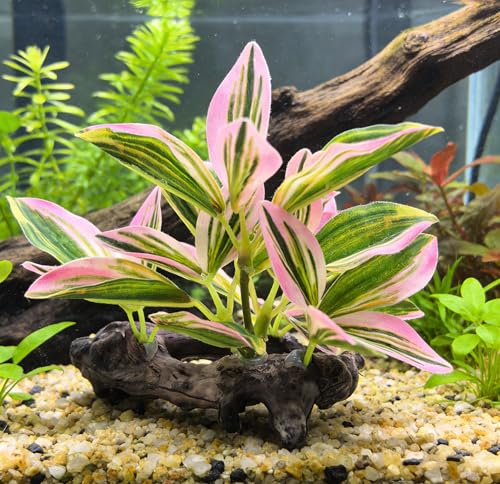 M2cbridge Fish Tank Plastic Soft Grass Artificial Betta Water Plants Decoration Goldfish Hide 2pcs (Pink) - color: Pink