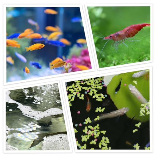 Aquarium Fish Net, 4 Inch Fine Mesh Shrimp Nets with 12.4" to 43" Long Extendable Stainless Steel Handle Round Small Fish Nets for Fishes Shrimp Tank Pond Creek Food Residue Debris Skimming Tool