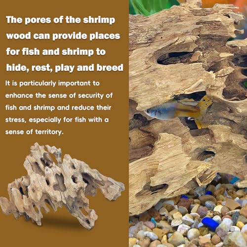 PINVNBY Natural Driftwood for Aquarium Large Reptile Terrarium Decor Decorations Assorted Branches Dearded Dragon Tank Accessories (7-11.5 inches/2 Pack) - size: L:Honeycomb wood (7 - 11.5 inches/2 Pack)