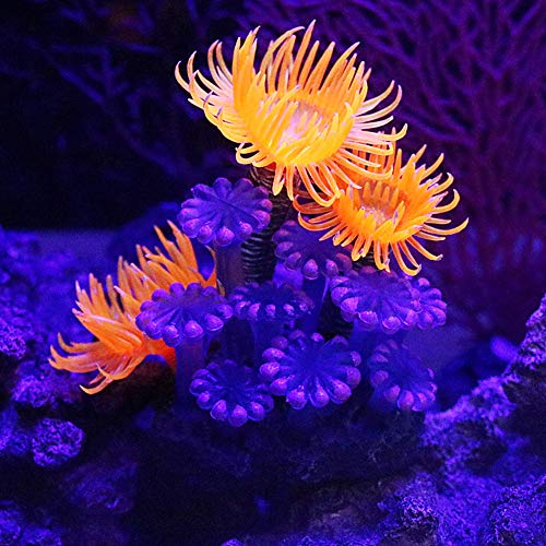 TOPINCN Artificial, Simulation Plant Luminous Silicone Sea Anemone for Fish Landscape Decoration Aquarium Ornaments(2.4 * 2.0 * 3.1inch)